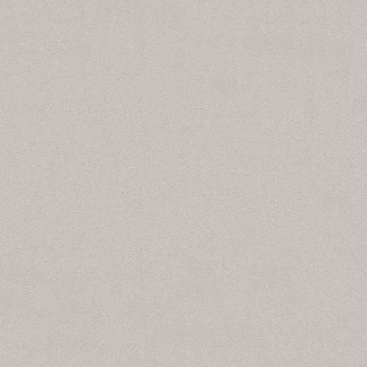 Leather Texture Grey AUS622